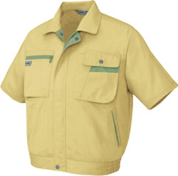 マスタードxオリーブ(019)