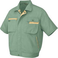 オリーブxマスタード(030)