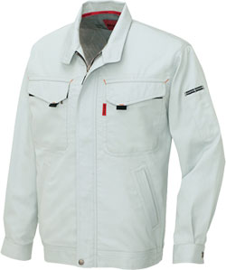 シルバーグレー(004)