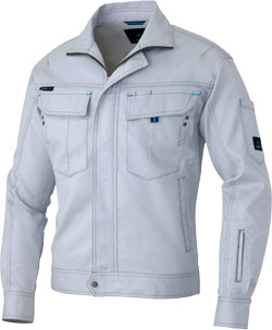 シルバーグレー(003)