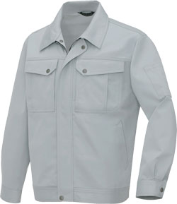 シルバーグレー(003)