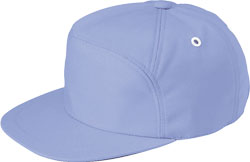 ミストバイオレット(076)