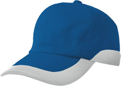 ブルーxシルバーグレー(006)