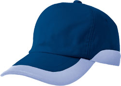 ネイビーxミストバイオレット(008)