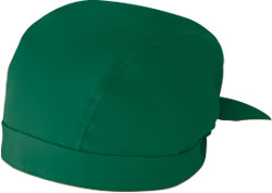 フォレストグリーン(264)