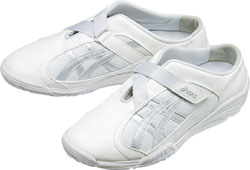 アイボリーxシルバー(0293)