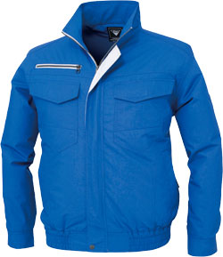 ロイヤルブルー(46)