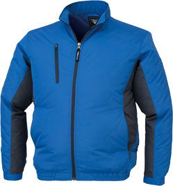 ロイヤルブルー(46)