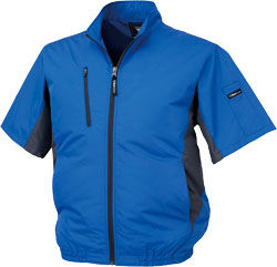 ロイヤルブルー(46)