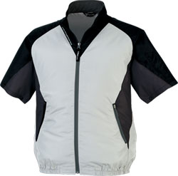 シルバーグレー(22)