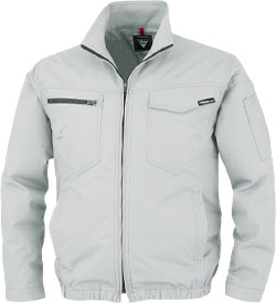 シルバーグレー(22)