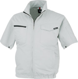 シルバーグレー(22)