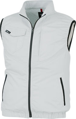 シルバーグレー(22)