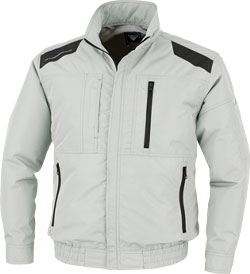 シルバーグレー(22)