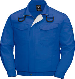 ロイヤルブルー(46)