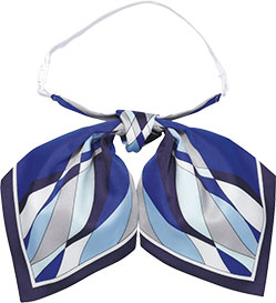 ロイヤルブルー(6)