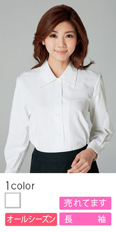 [通年]デイリーユースに最適 コンフォートブラウス[長袖](22-AR1412)