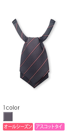 アスコットタイ(23-33030)
