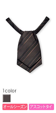 アスコットタイ(23-33034)