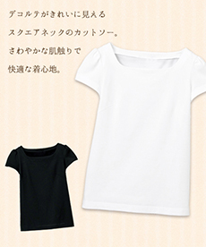 [通年]半袖スクエアネックTシャツ/天竺(23-WP319)