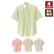 ボタンダウン半袖シャツ[男女兼用](32-23310)