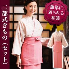 二部式着物セット/雲井ぼかし草小紋柄[女性用](33-OD253SET)