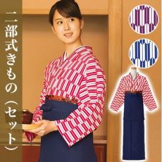 二部式着物セット/矢絣柄[女性用](33-SODL1851SET)