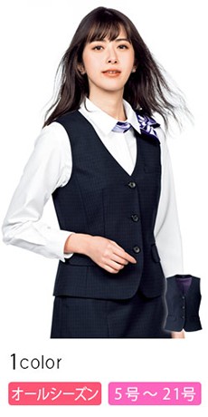 ベスト[チェック/静電気防止/抗菌防臭](34-AV1269)