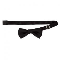 【在庫限り】蝶タイ[男女兼用](34-FA9002)