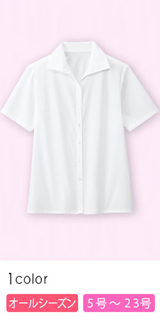 [通年]デコルテ美人に。イタリアンカラーの上品な半袖ブラウス(76-FB71039)