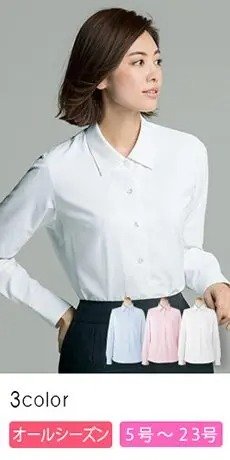 [通年]プチプライスに高機能が嬉しい、透けない長袖ブラウス(89-36502)
