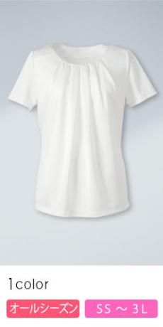 [通年]プルオーバー[ストレッチ/吸汗速乾/UVカット/防透](A9-EST559)